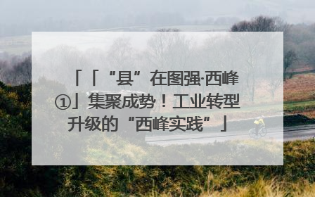「“县”在图强·西峰①」集聚成势！工业转型升级的“西峰实践”