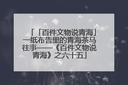 「百件文物说青海」一纸布告里的青海茶马往事——《百件文物说青海》之六十五