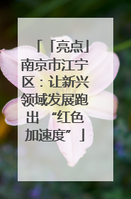 「亮点」南京市江宁区：让新兴领域发展跑出 “红色加速度”
