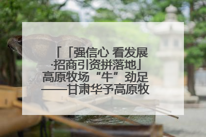 「强信心 看发展·招商引资拼落地」高原牧场“牛”劲足——甘肃华予高原牧场高标准奶牛肉牛养殖项目一线见闻