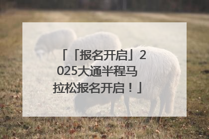 「报名开启」2025大通半程马拉松报名开启！