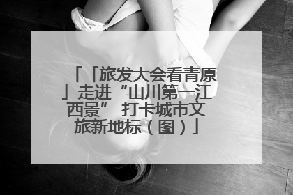 「旅发大会看青原」走进“山川第一江西景” 打卡城市文旅新地标（图）