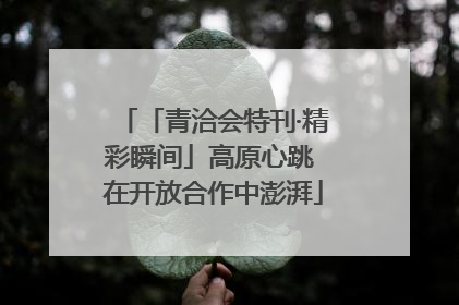 「青洽会特刊·精彩瞬间」高原心跳 在开放合作中澎湃