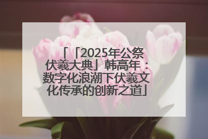 「2025年公祭伏羲大典」韩高年：数字化浪潮下伏羲文化传承的创新之道