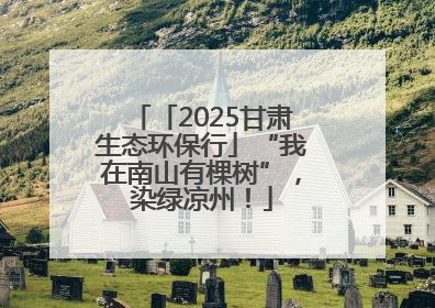 「2025甘肃生态环保行」“我在南山有棵树”，染绿凉州！