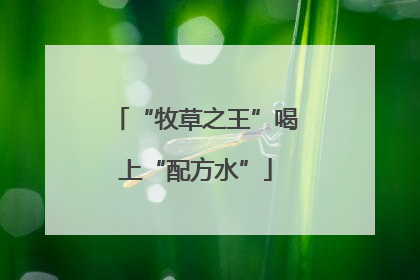 “牧草之王”喝上“配方水”