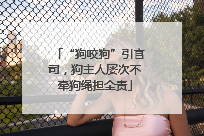 “狗咬狗”引官司，狗主人屡次不牵狗绳担全责