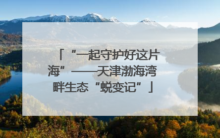 “一起守护好这片海”——天津渤海湾畔生态“蜕变记”