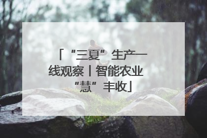 “三夏”生产一线观察丨智能农业“慧”丰收