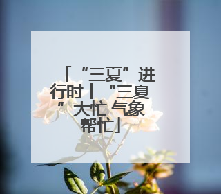 “三夏”进行时丨“三夏”大忙 气象帮忙