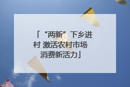 “两新”下乡进村 激活农村市场消费新活力