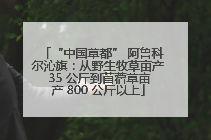 “中国草都” 阿鲁科尔沁旗：从野生牧草亩产 35 公斤到苜蓿草亩产 800 公斤以上