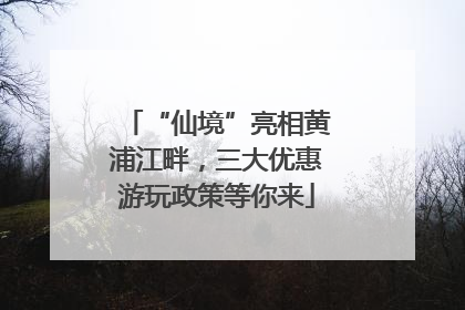 “仙境”亮相黄浦江畔，三大优惠游玩政策等你来