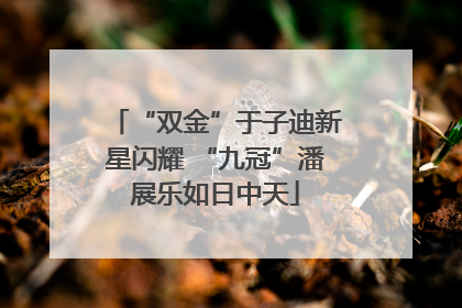 “双金”于子迪新星闪耀 “九冠”潘展乐如日中天