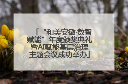 “和美安徽·数智赋能”年度颁奖典礼暨AI赋能基层治理主题会议成功举办