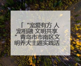 “宠爱有方 人宠相融 文明共享”青岛市市南区文明养犬主题实践活动举办