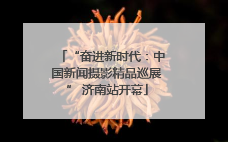“奋进新时代：中国新闻摄影精品巡展” 济南站开幕
