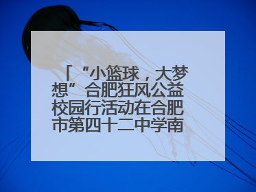 “小篮球，大梦想”合肥狂风公益校园行活动在合肥市第四十二中学南城分校圆满落幕