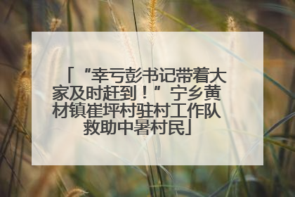 “幸亏彭书记带着大家及时赶到！”宁乡黄材镇崔坪村驻村工作队救助中暑村民