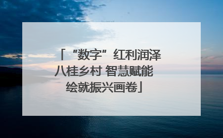 “数字”红利润泽八桂乡村 智慧赋能绘就振兴画卷