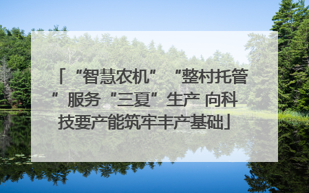 “智慧农机”“整村托管”服务“三夏”生产 向科技要产能筑牢丰产基础