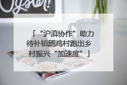“沪滇协作”助力待补镇鹧鸡村跑出乡村振兴“加速度”