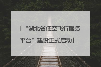 “湖北省低空飞行服务平台”建设正式启动