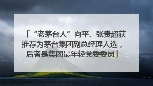 “老茅台人”向平、张贵超获推荐为茅台集团副总经理人选，后者是集团最年轻党委委员