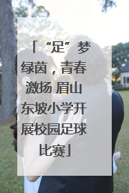“足”梦绿茵，青春激扬 眉山东坡小学开展校园足球比赛