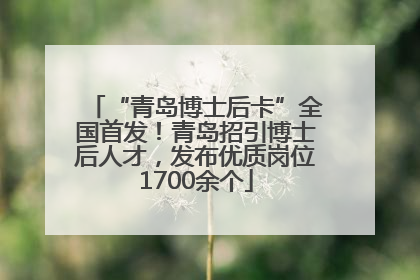 “青岛博士后卡”全国首发！青岛招引博士后人才，发布优质岗位1700余个