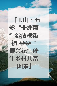 玉山：五彩“非洲菊”绽放横街镇 朵朵“振兴花”催生乡村共富图景