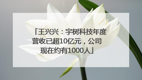 王兴兴：宇树科技年度营收已超10亿元，公司现在约有1000人