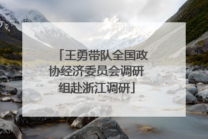 王勇带队全国政协经济委员会调研组赴浙江调研