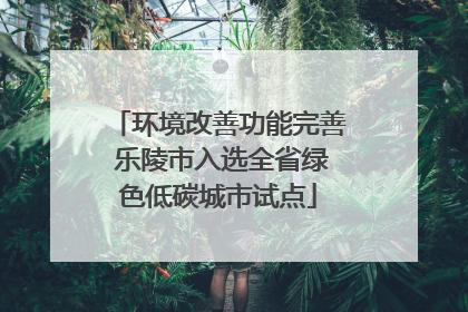 环境改善功能完善 乐陵市入选全省绿色低碳城市试点