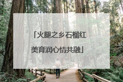 火腿之乡石榴红 美育润心情共融