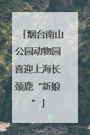烟台南山公园动物园喜迎上海长颈鹿“新娘”