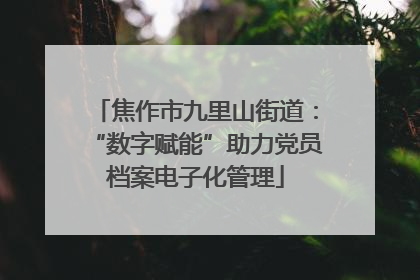 焦作市九里山街道：“数字赋能”助力党员档案电子化管理