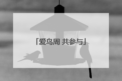 爱鸟周 共参与