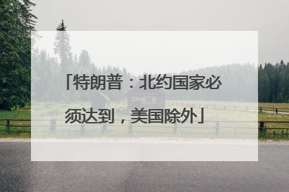 特朗普：北约国家必须达到，美国除外