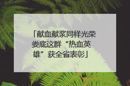 献血献浆同样光荣 娄底这群“热血英雄”获全省表彰