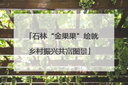石林“金果果”绘就乡村振兴共富图景