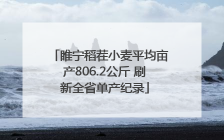 睢宁稻茬小麦平均亩产806.2公斤 刷新全省单产纪录