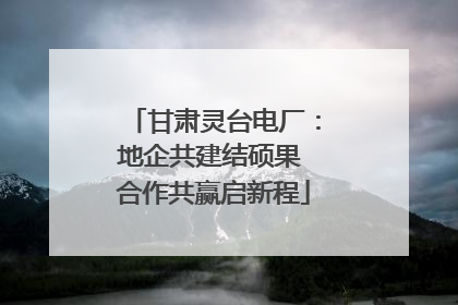 甘肃灵台电厂：地企共建结硕果 合作共赢启新程