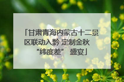 甘肃青海内蒙古十二景区联动入黔 定制金秋 “纬度差” 盛宴