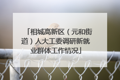 相城高新区（元和街道）人大工委调研新就业群体工作情况