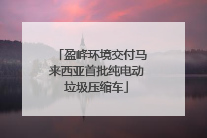 盈峰环境交付马来西亚首批纯电动垃圾压缩车