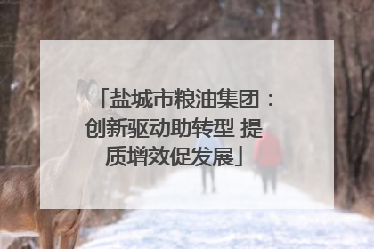 盐城市粮油集团：创新驱动助转型 提质增效促发展