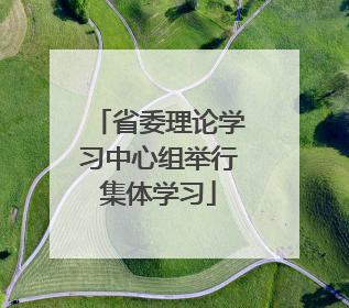 省委理论学习中心组举行集体学习