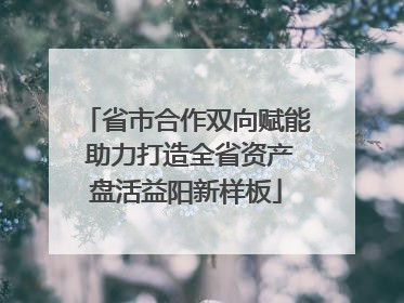 省市合作双向赋能 助力打造全省资产盘活益阳新样板