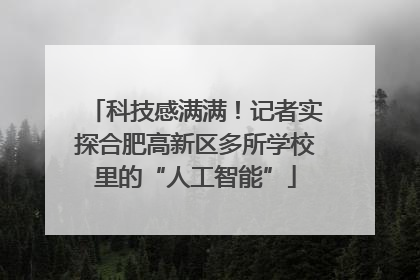 科技感满满！记者实探合肥高新区多所学校里的“人工智能”